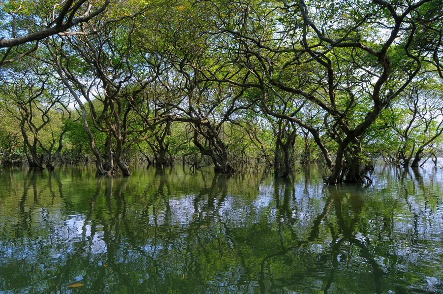 Bangladesh