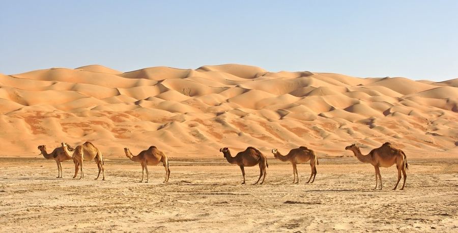 Saudi-Arabia