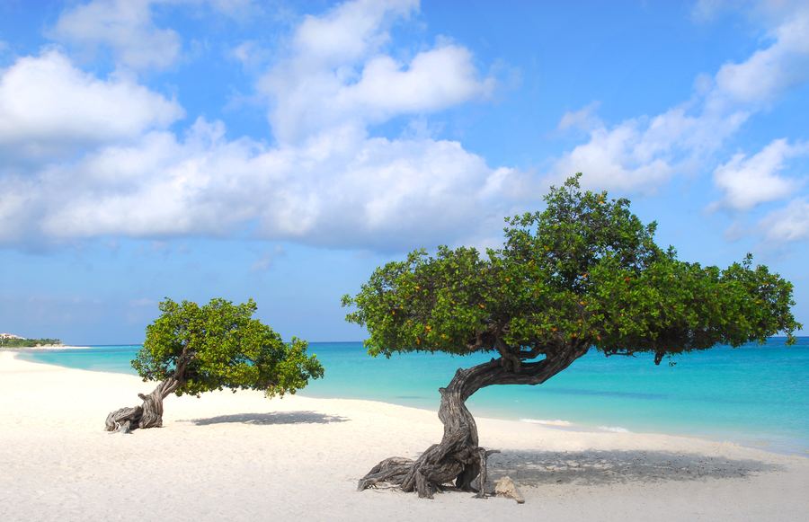 ARUBA – MERI, RANNAT JA LUONNONPUISTO