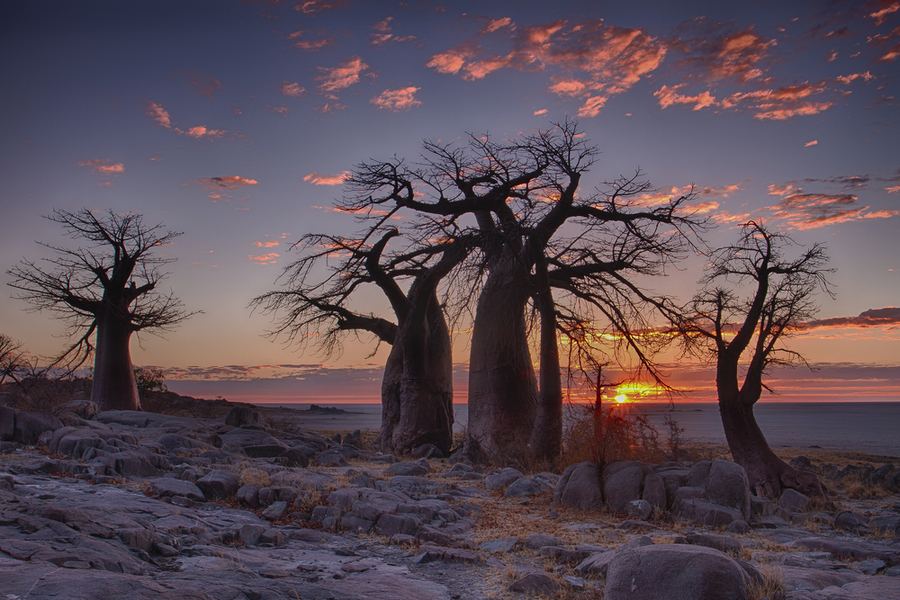 Botswana – Okavango ja Chobe