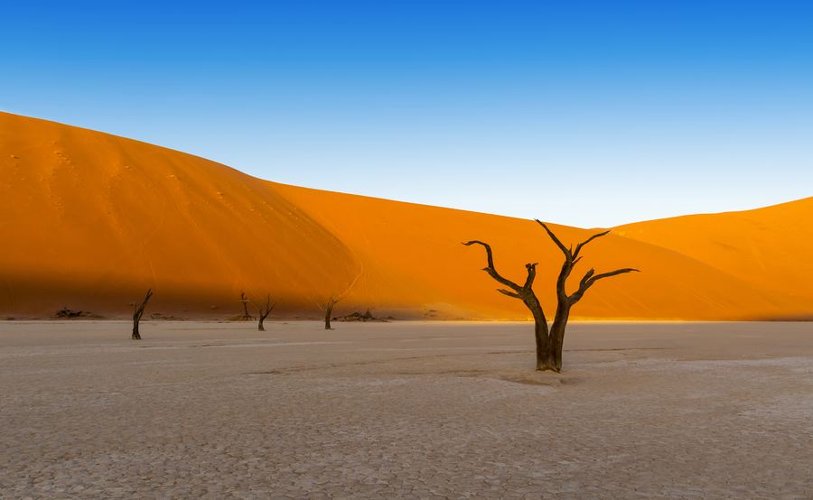 Sossusvlei, Swakopmund ja Etosha